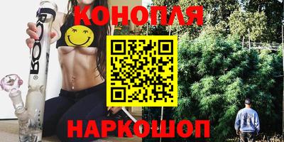 сатива Жуковский