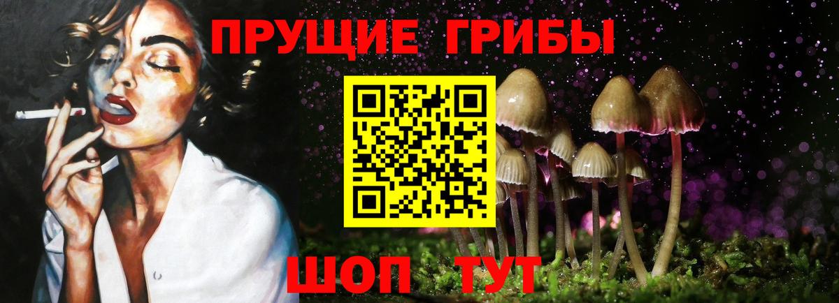 Междуреченск  Псилоцибиновые грибы мухоморы  Псилоцибиновые грибы Cubensis  Вход с VPN 